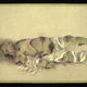 Illustration for article titled A study in decomposition, c. 1870